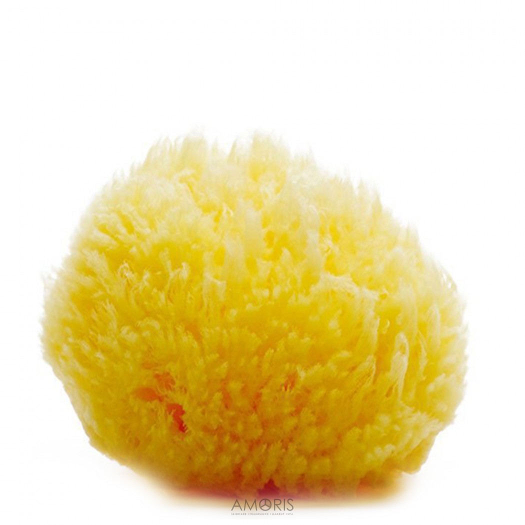 Acca Kappa Середземноморська губка